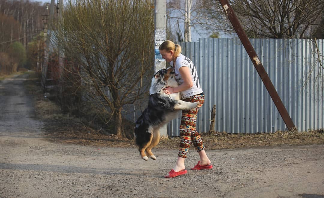 iz_doma_korolevoi_kennel в LOOKY — фото 6