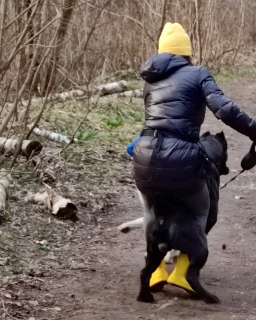 Что-то здесь не так ... 😂 🐾

#дружки #игра  #собакадругчеловека #обнимашки #ноги #лапы #прикол #смех #ржака #хвостики