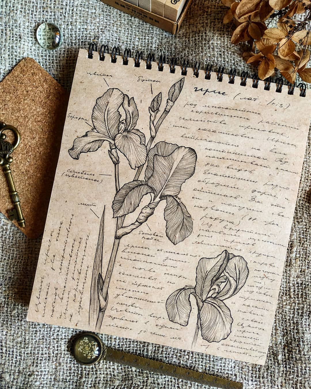 filatoffz_art в LOOKY — Этот блог я начала с Дня Крокодила год назад когда вся стран