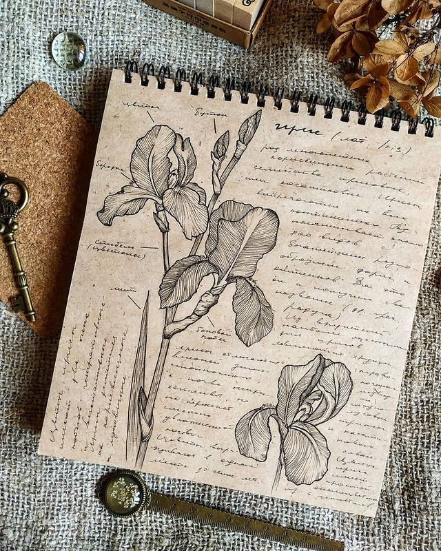 filatoffz_art в LOOKY. #денькрокодила2021,#рисунокручкой,#графика. Этот блог я начала с...