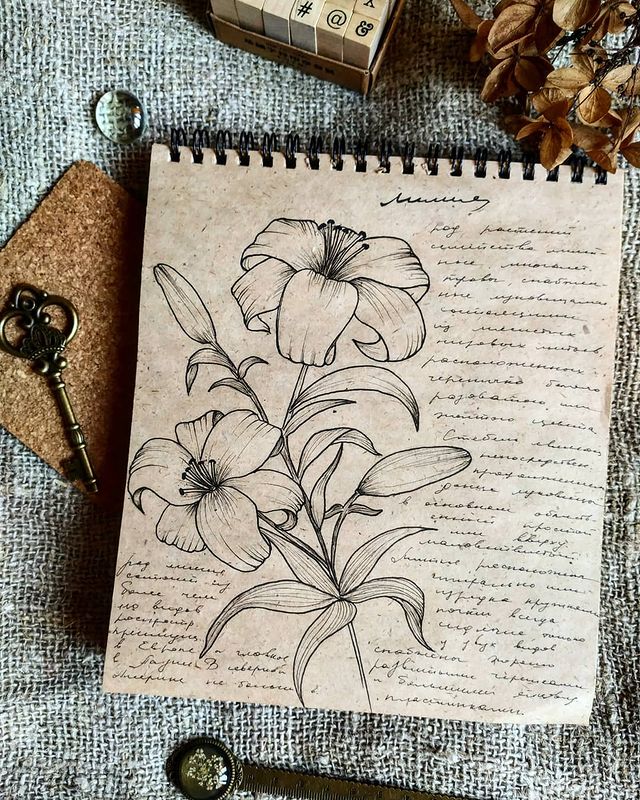 filatoffz_art в LOOKY. #денькрокодила2021. Лилия 🌺  #денькроко...