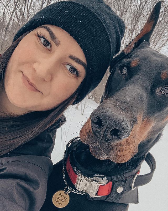 sv_vn_ в LOOKY. #doberman#dobermanpride#dobermanlove#dobermanezio. .
.
#doberman#doberm...