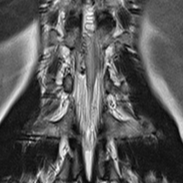 russianradiology в LOOKY — фото 2