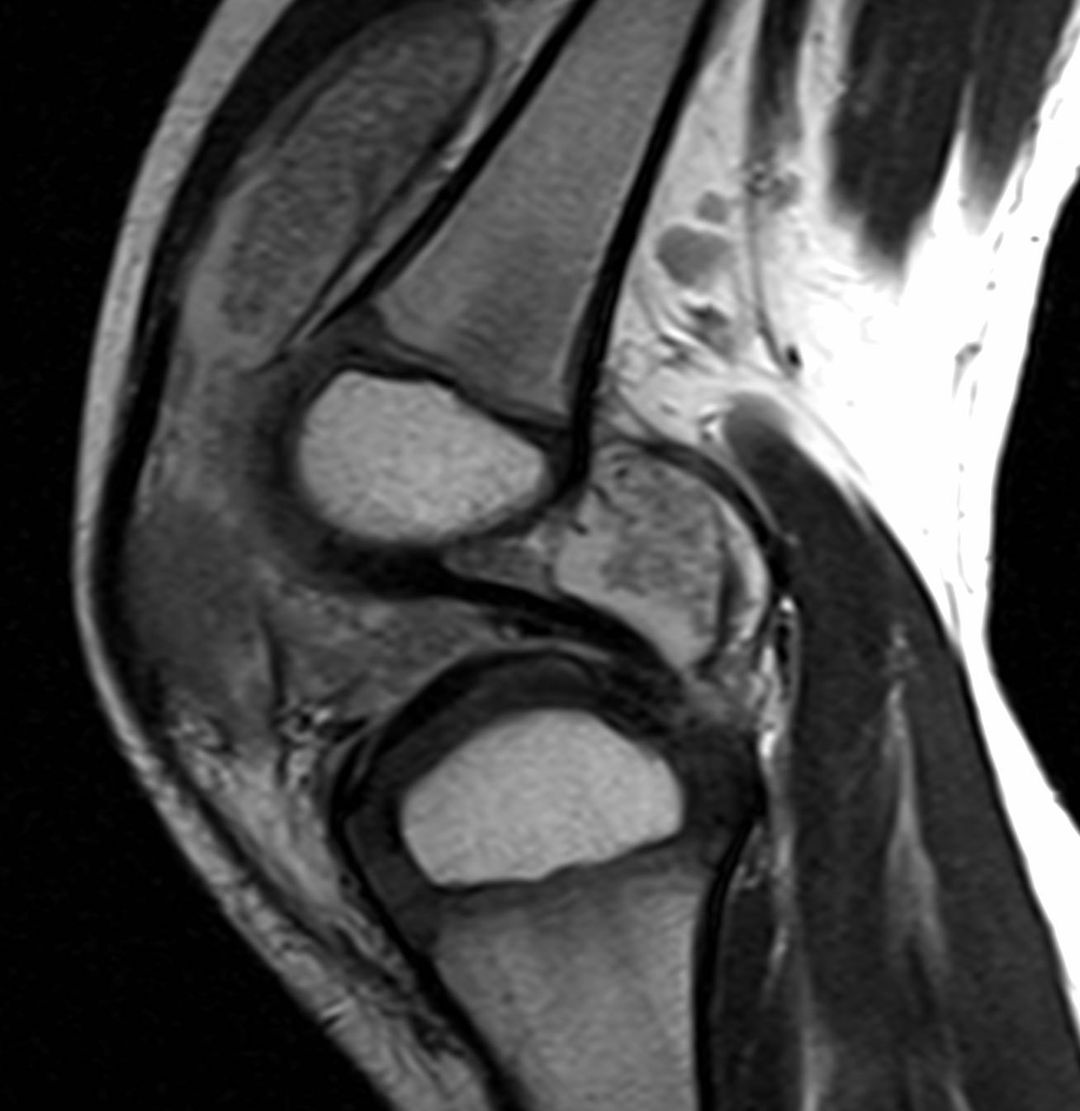 russianradiology в LOOKY — фото 2
