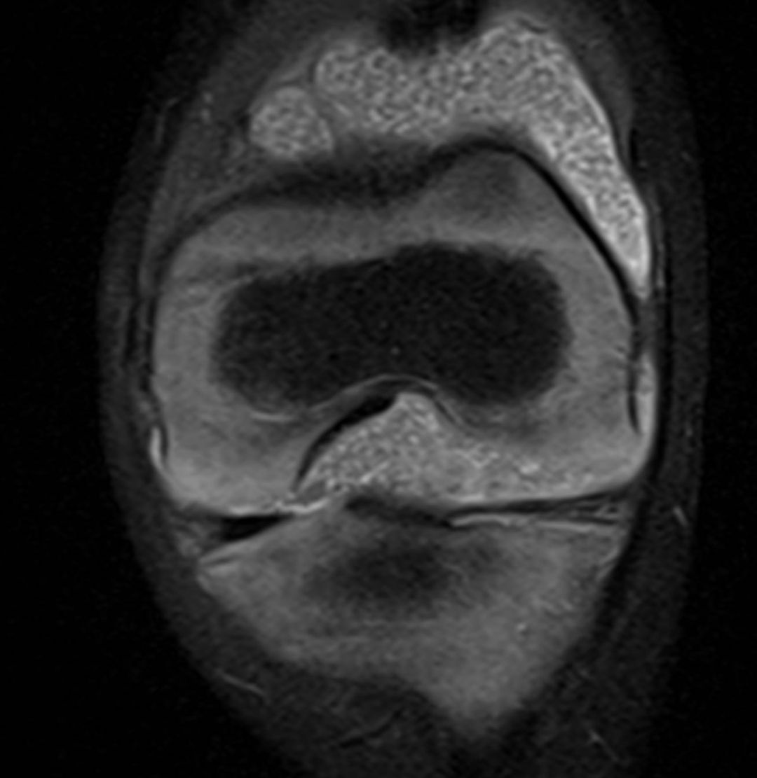 russianradiology в LOOKY — фото 4