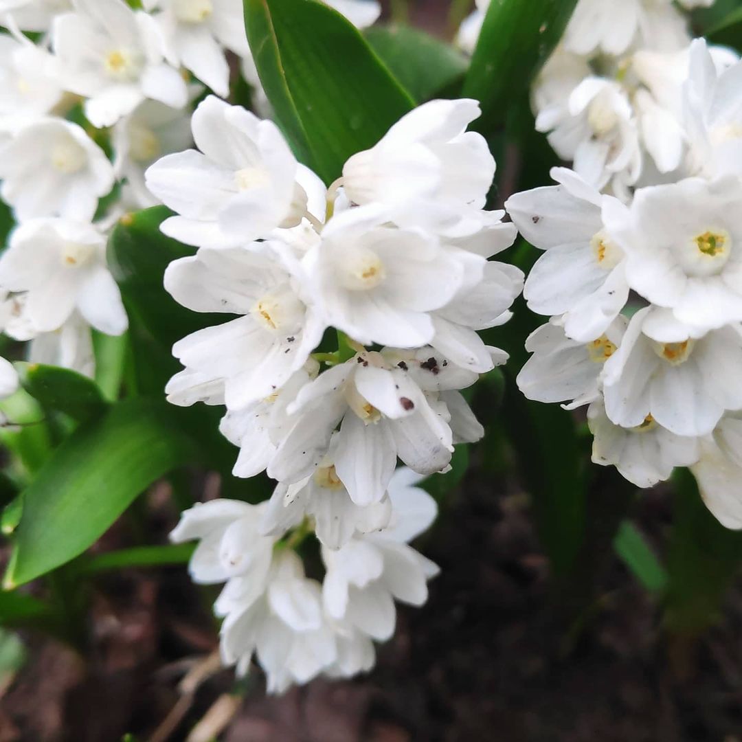osberry195 в LOOKY — фото 6