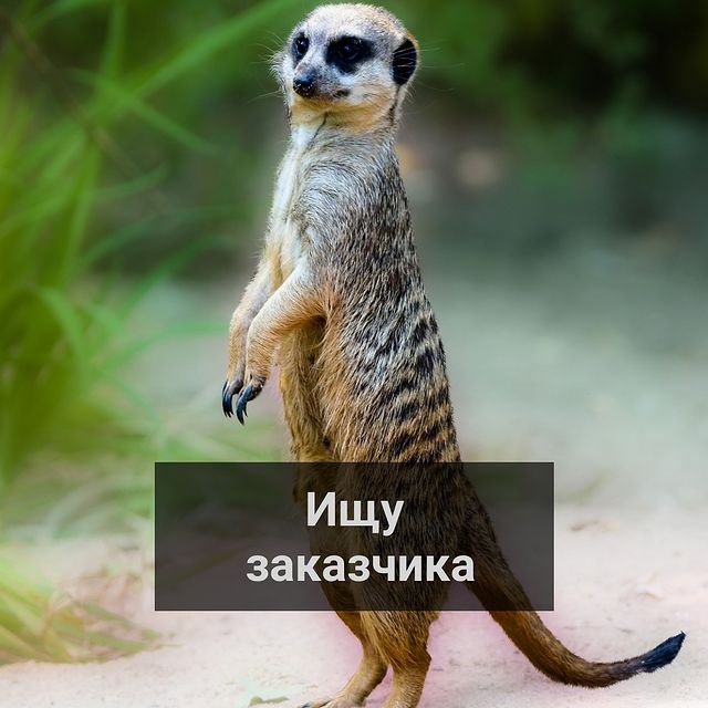 nataliia_teslar в LOOKY. #ищузаказчика,#лендинг,#копирайтинг,#дизайнерсайтов,#Tilda,#ФСН_RestartAcademy,#RestartAcademy. ❗ИЩУ ЗАКАЗЧИКА❗

Мно...