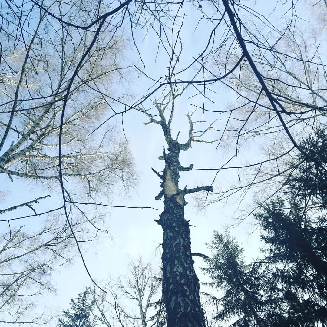 kandyba30olesya в LOOKY — #веснананосу #весна2021  #веснапришла