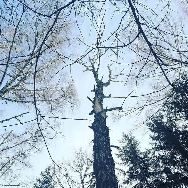 kandyba30olesya в LOOKY. #веснананосу,#весна2021,#веснапришла. #веснананосу #весна2...