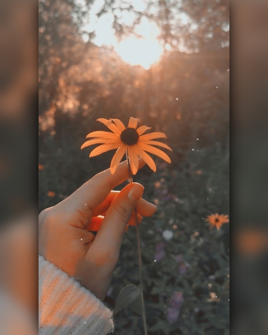 mythicalsea_life в LOOKY. . 🎶 Знай, где бы я ни...