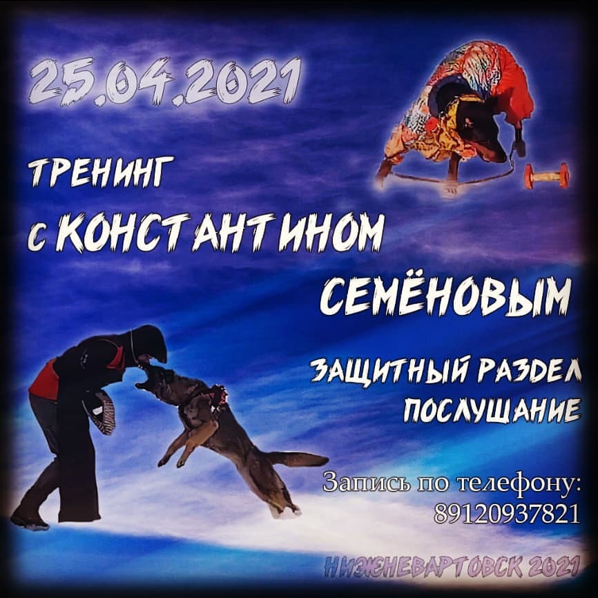 dressirovka_nv in LOOKY. . null