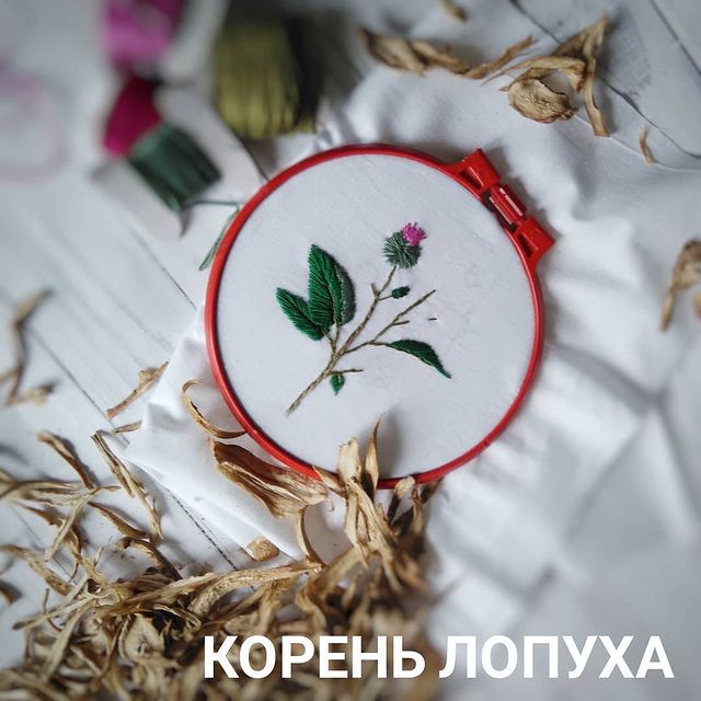 nadezhda_lisa_life в LOOKY. . Лопух, в народе репе...