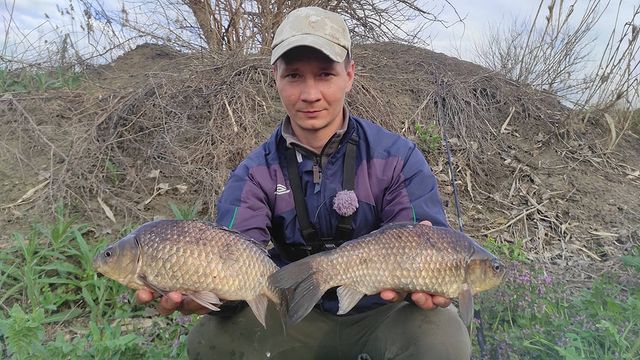 yug_fishing в LOOKY. #рыбалка,#,#Краснодар,#Кубань,#отдыхнаприроде. Матёрые караси на фи...