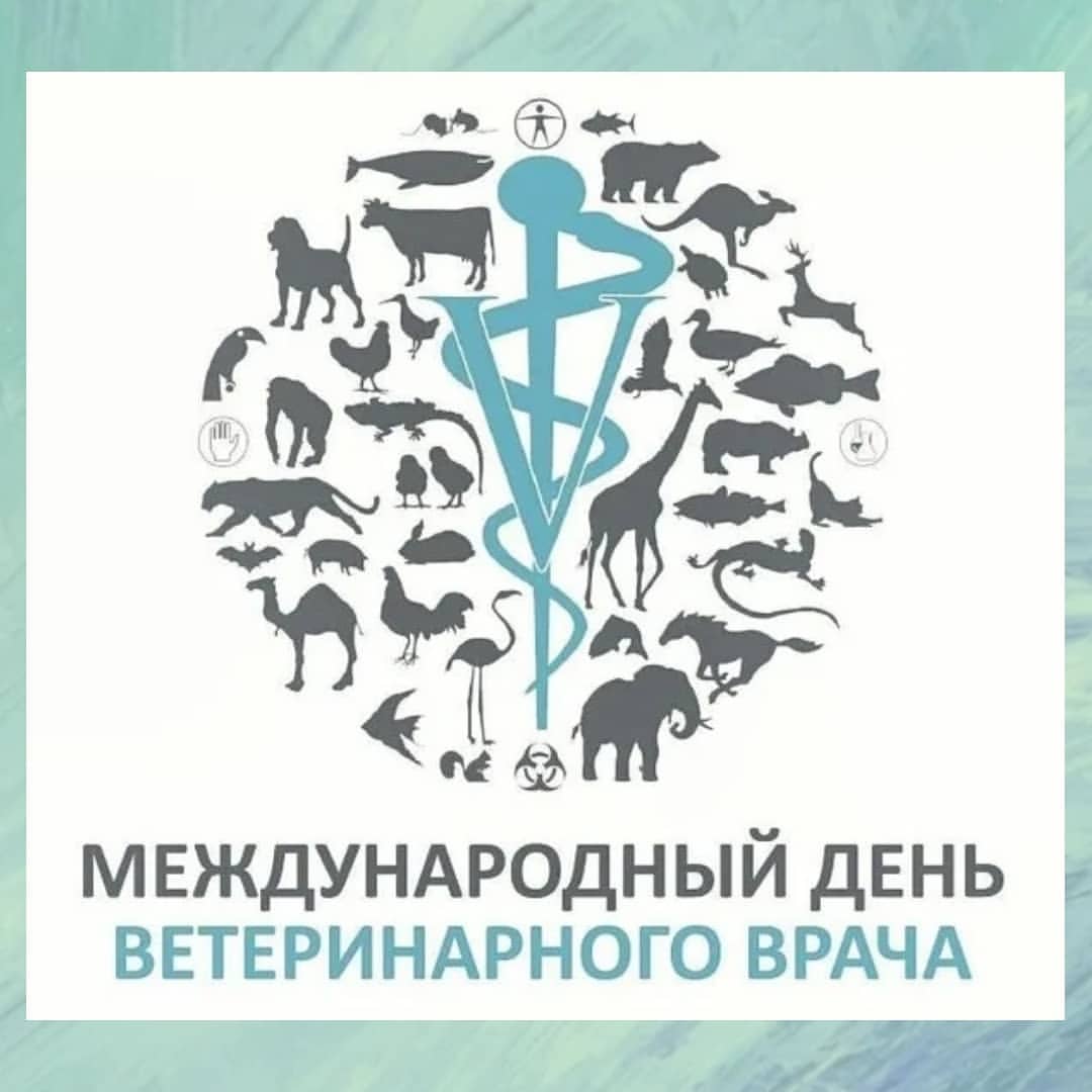 stebeleva_vet в LOOKY — Всех коллег поздравляю с профессиональным праздником! 
#vete
