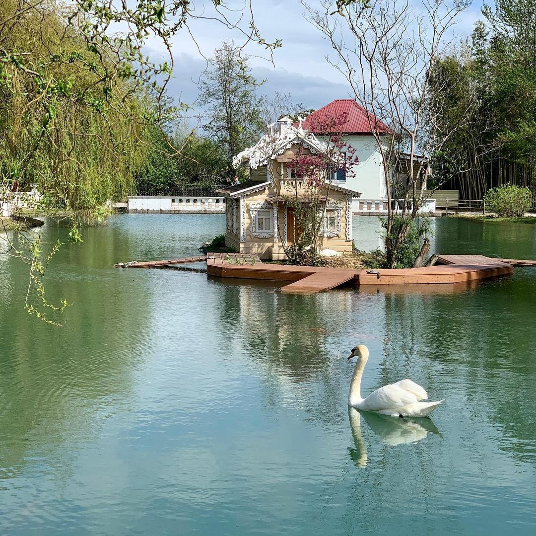 gunechkaa в LOOKY — фото 4