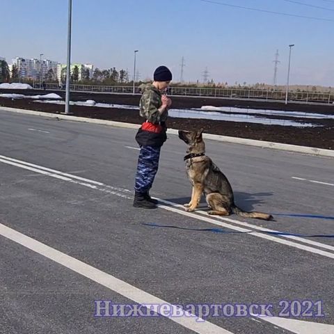 dressirovka_nv in LOOKY. . В развитие темы "Соц...