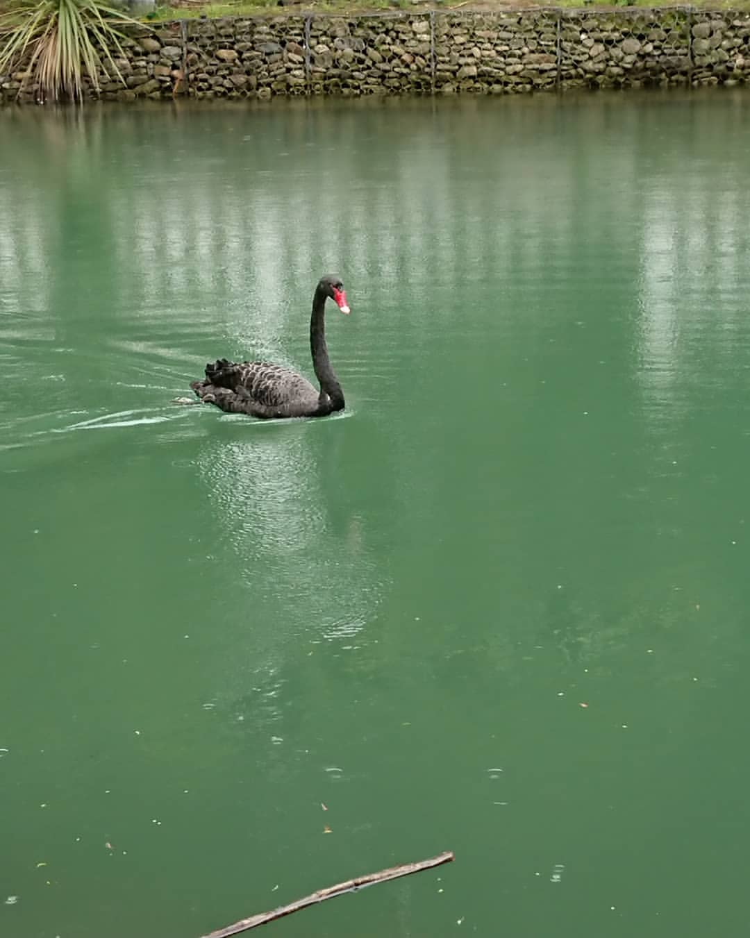 lena_lisi4ka88 в LOOKY — фото 6