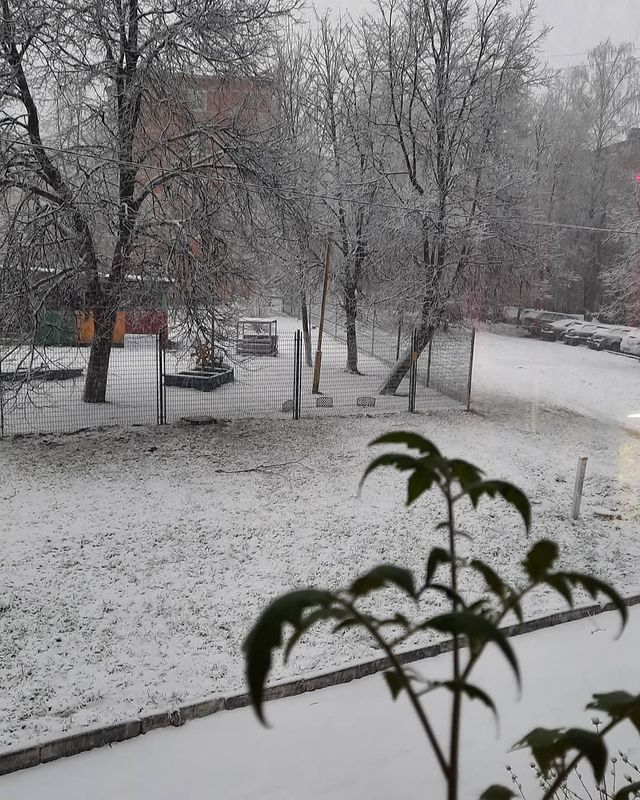 j.n.v.13 в LOOKY. . 27 апреля 2021 года....