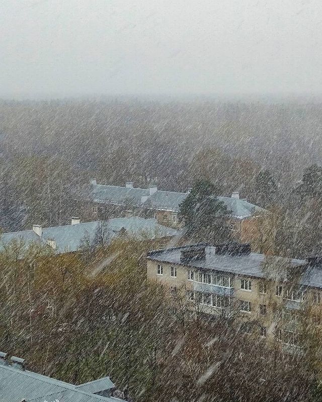 owl_53 в LOOKY. . 27.04.21 🌳🌨❄🌫☔