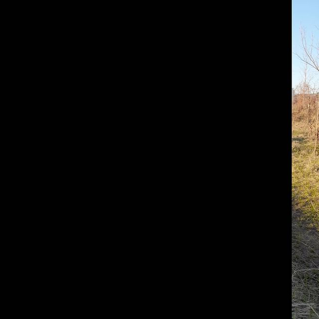 zenechka2791 в LOOKY. . Вечерняя прогулка по...