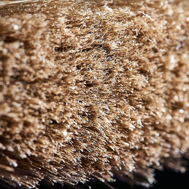 tschernawzew в LOOKY. #unusuallook,#brush,#macro,#ungewöhnliches,#pinsel,#makrofotografie,#makro,#необычныйвид,#кисточка,#макросъемка,#макрофото,#макро. #unusuallook #brush ...