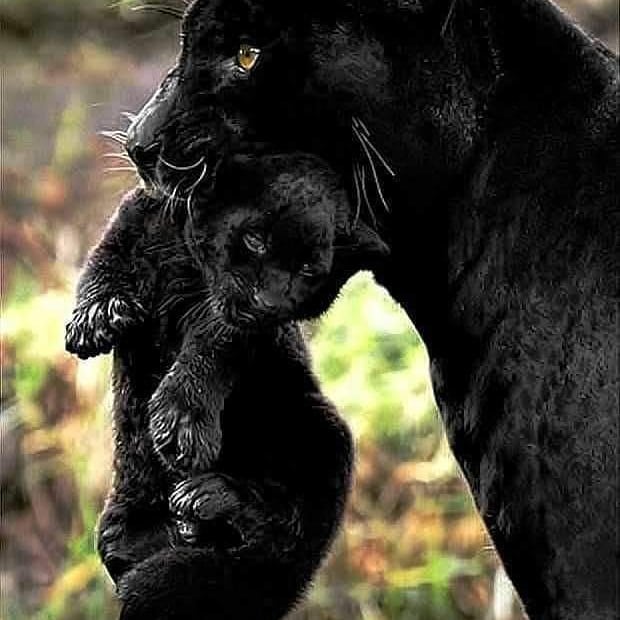 16_e.ugene в LOOKY. #gainwithfeynessjojo,#gainwithkingpjshowstopper,#gainwithmchina,#gainwithnairobian,#gainwithme,#gainwithmemesfromkenya,#gainwithmafiakenyan,#gainwithgeminicreatives,#gainwithspikes,#gainwithxtiandela,#gainwithkenyaoxygen,#gainwithkelele,#gainwithlarrymemes,#gainwithkcatrendingteens,#gainwithkenyasickest,#gainwithkenyasickest,#gainwithkenyanscooper#followforfollowback,#memes,#followｍe,#followtrain. #gainwithfeynessjojo...