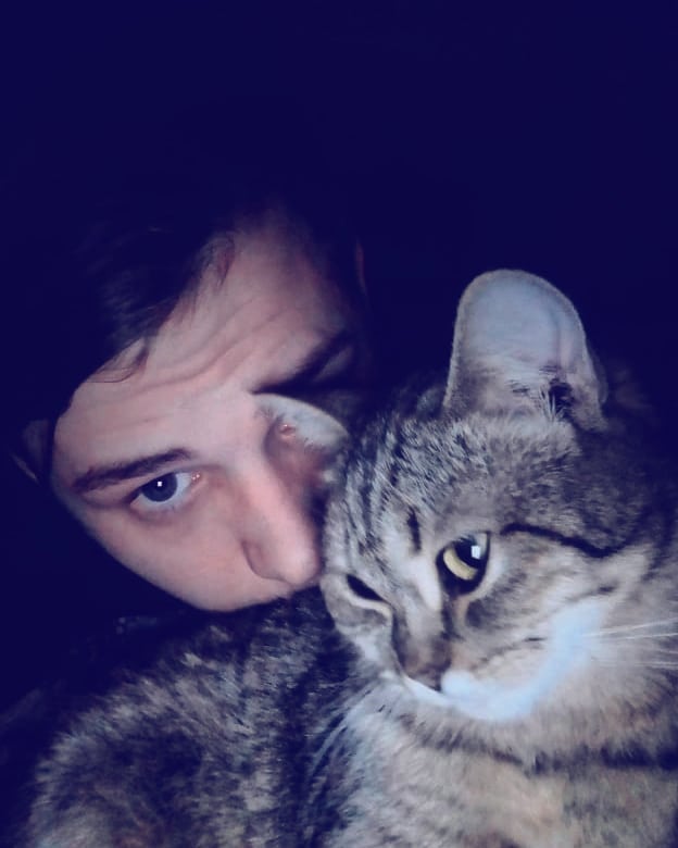 sem1kden в LOOKY. . Котик