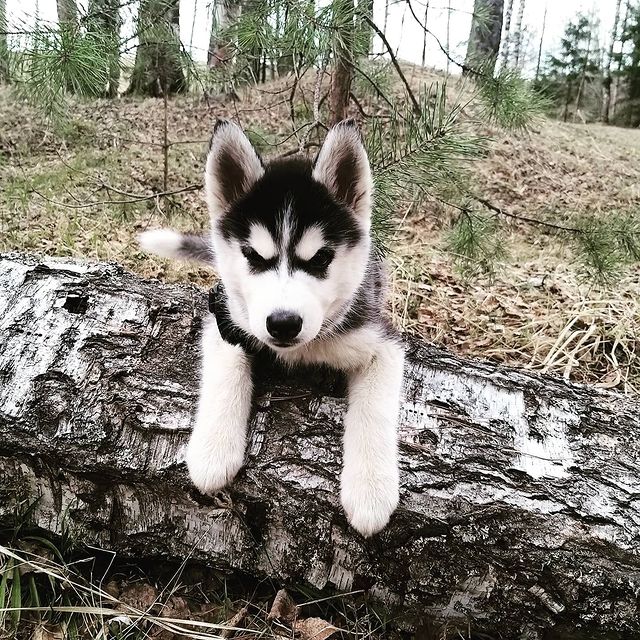 ksushka_semina в LOOKY. . Семейный отдых - зал...