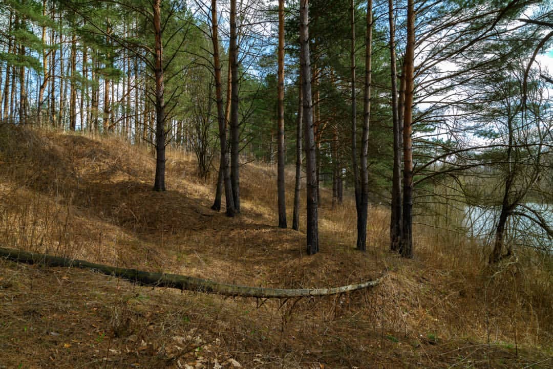 dmitriibilly в LOOKY — #streetphoto #streephotography #naturephotos #streetphotogra