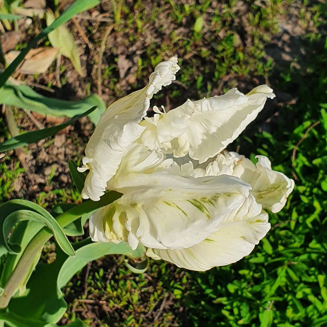 marina_kubichek в LOOKY — фото 4