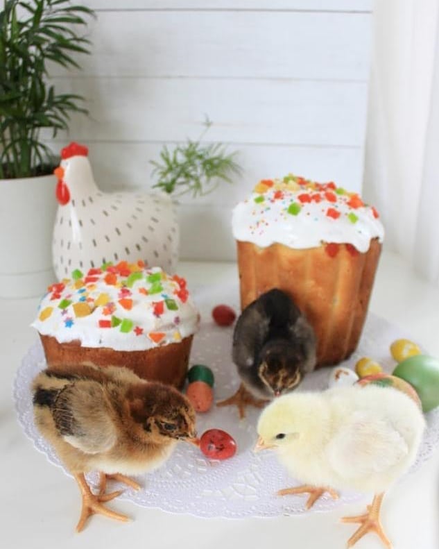 Христос Воскрес!!! Мои любимые девочки постарались ))) #пасха #праздник #весна #омскаяобласть #куличи #omsk #siberia