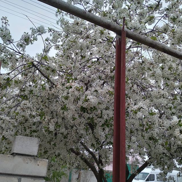 aliza_nikolaeva в LOOKY. . null