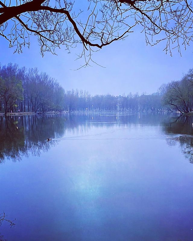 n0vex в LOOKY. #morning,#yaroslavl,#russia,#утро,#россия,#путешествие_в_будущее,#ржд_бонус. #morning #yaroslavl ...