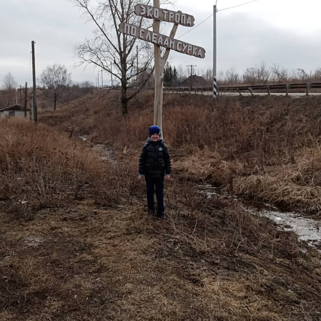 Сенгилеевский район.