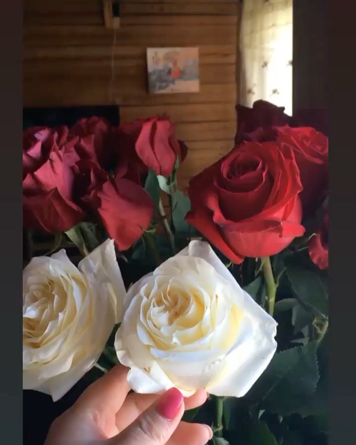 __tatyanant в LOOKY. . 🥀
