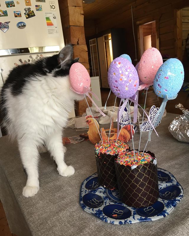 __tatyanant в LOOKY. #kika🐱. Easter 🐣 
#kika🐱