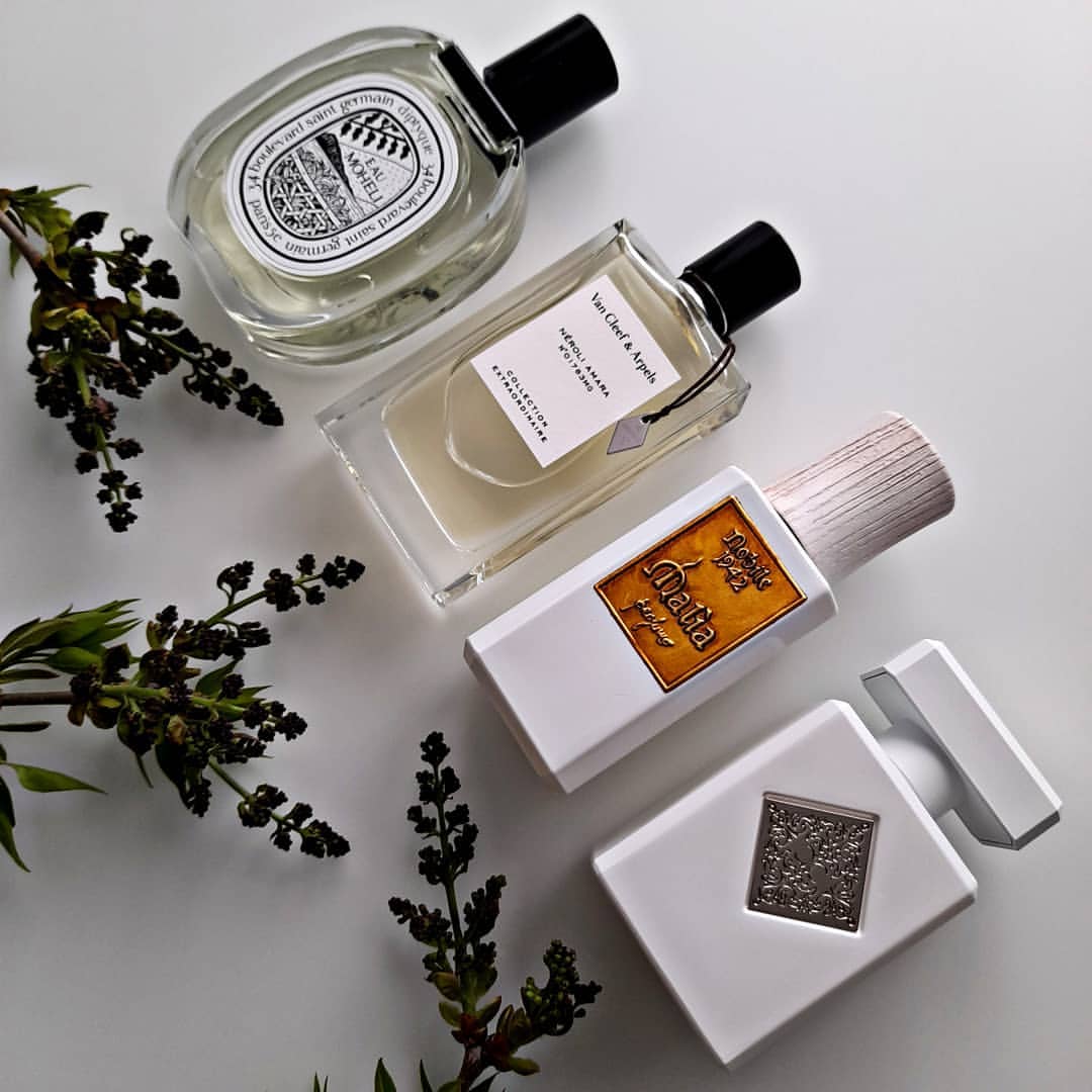 tsl_parfum в LOOKY — фото 2