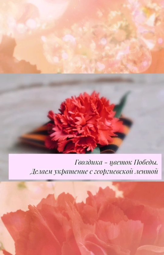 elen.moi_mir в LOOKY. #цветокпобеды💮,#георгиевскаялента,#мастеркласс,#мастерскаяЕлены. Данный мастер-класс ...