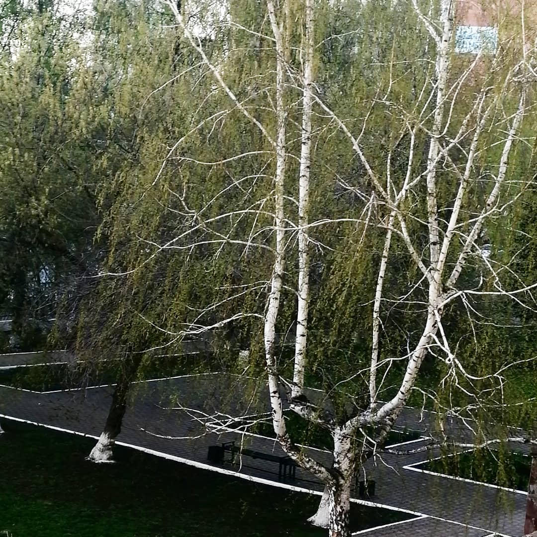 mukaramamavletov в LOOKY. . Хәерле иртә, изге ай...