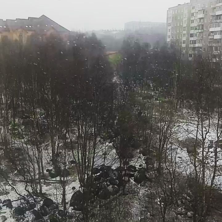 igy_mur в LOOKY. . Наш Мордор...