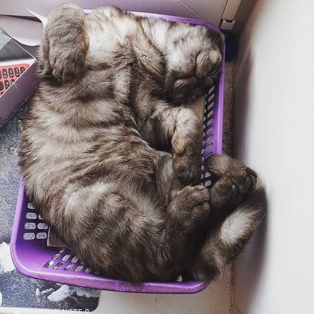 katerinka_208 в LOOKY. #уровенькомфорта. #уровенькомфорта
