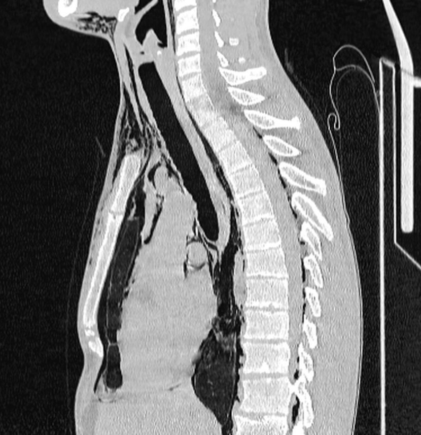 russianradiology в LOOKY — фото 4
