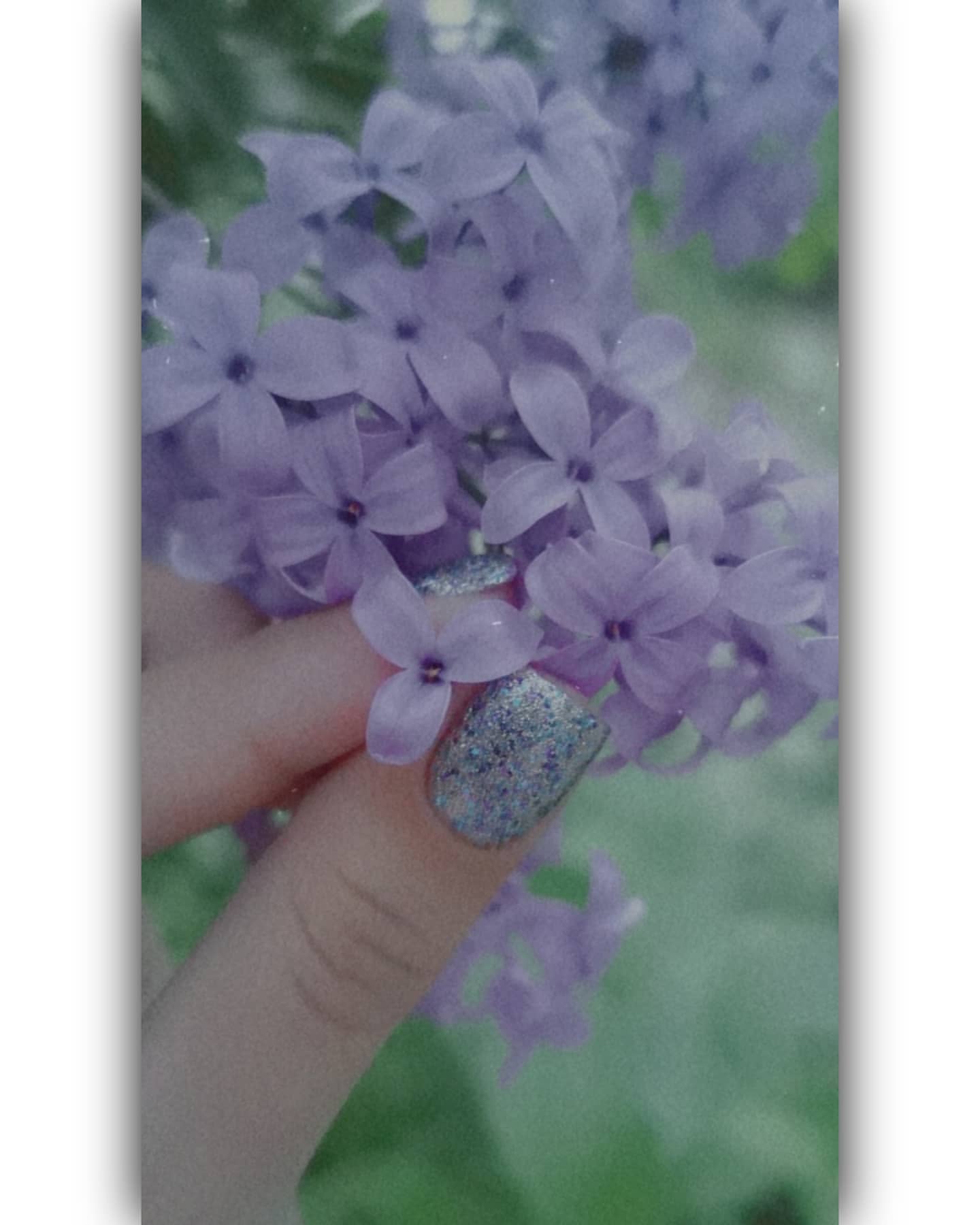 mythicalsea_life в LOOKY. . @yessoyastihi 🌿

ме...