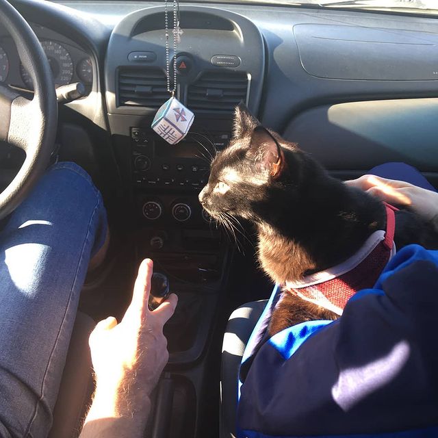 efisunov в LOOKY. . Котя путешественница