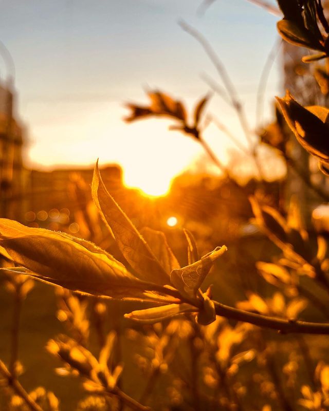 n0vex в LOOKY. #yaroslavl,#russia,#may,#2021,#evening,#2k21,#sun,#sunnyday. #yaroslavl #russia #...