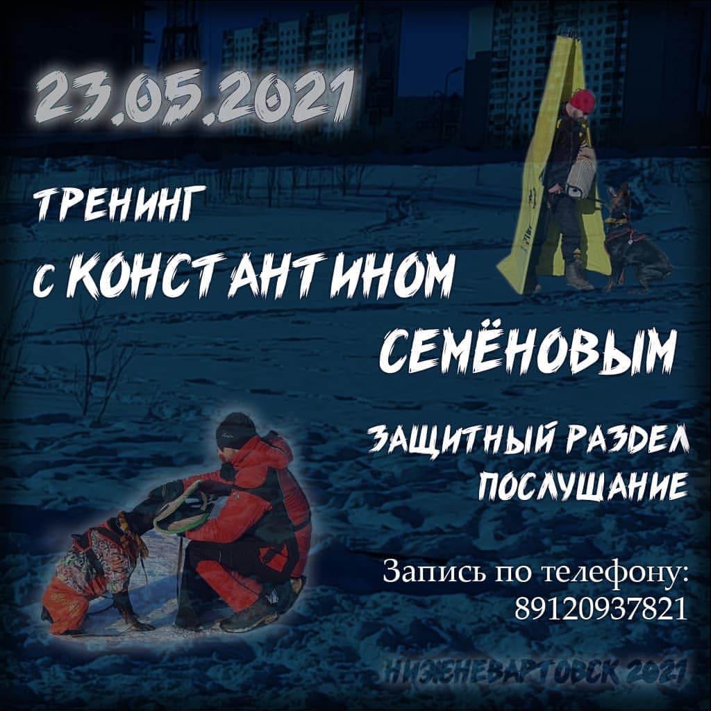 dressirovka_nv in LOOKY. . null