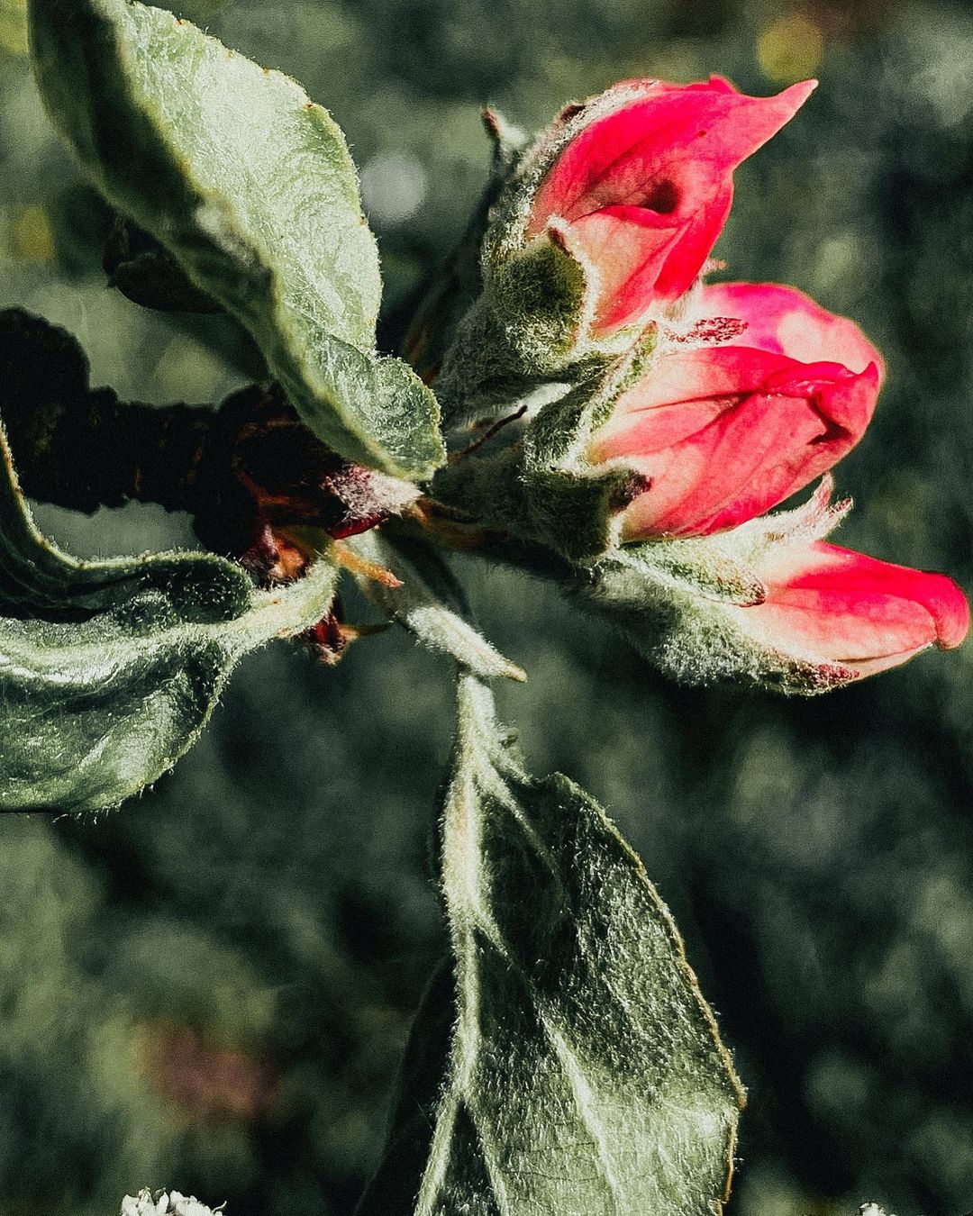 May🌿