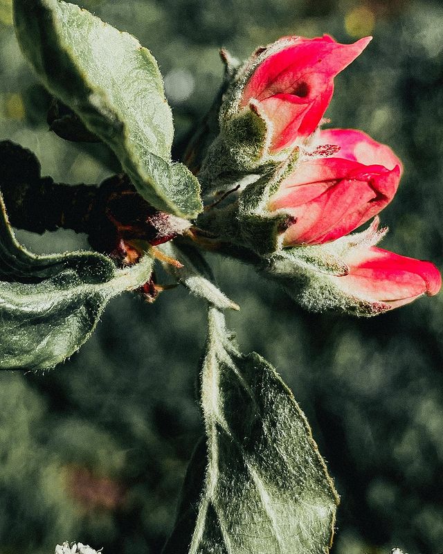 nikolaeva___d в LOOKY. . May🌿