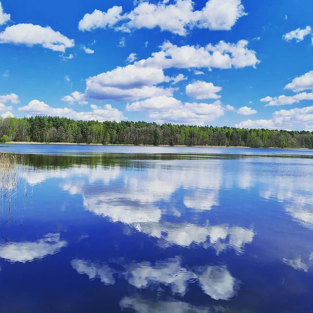 v_e_r_t_i_n_a в LOOKY. #весна,#подмосковьесегодня,#красотарядом,#природаподмосковья,#озеросрамное,#белоозерский. Весна в Подмосковье ...