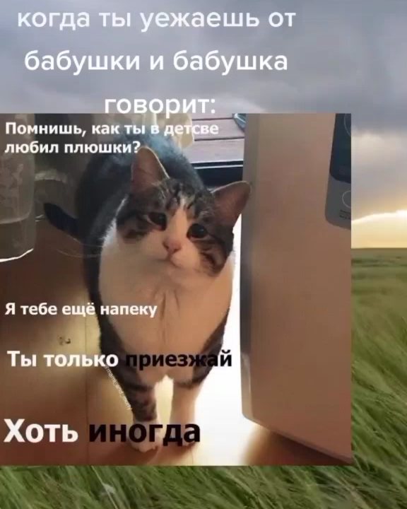 filimonov_ivan_1 в LOOKY. . А ведь можно бабушку...